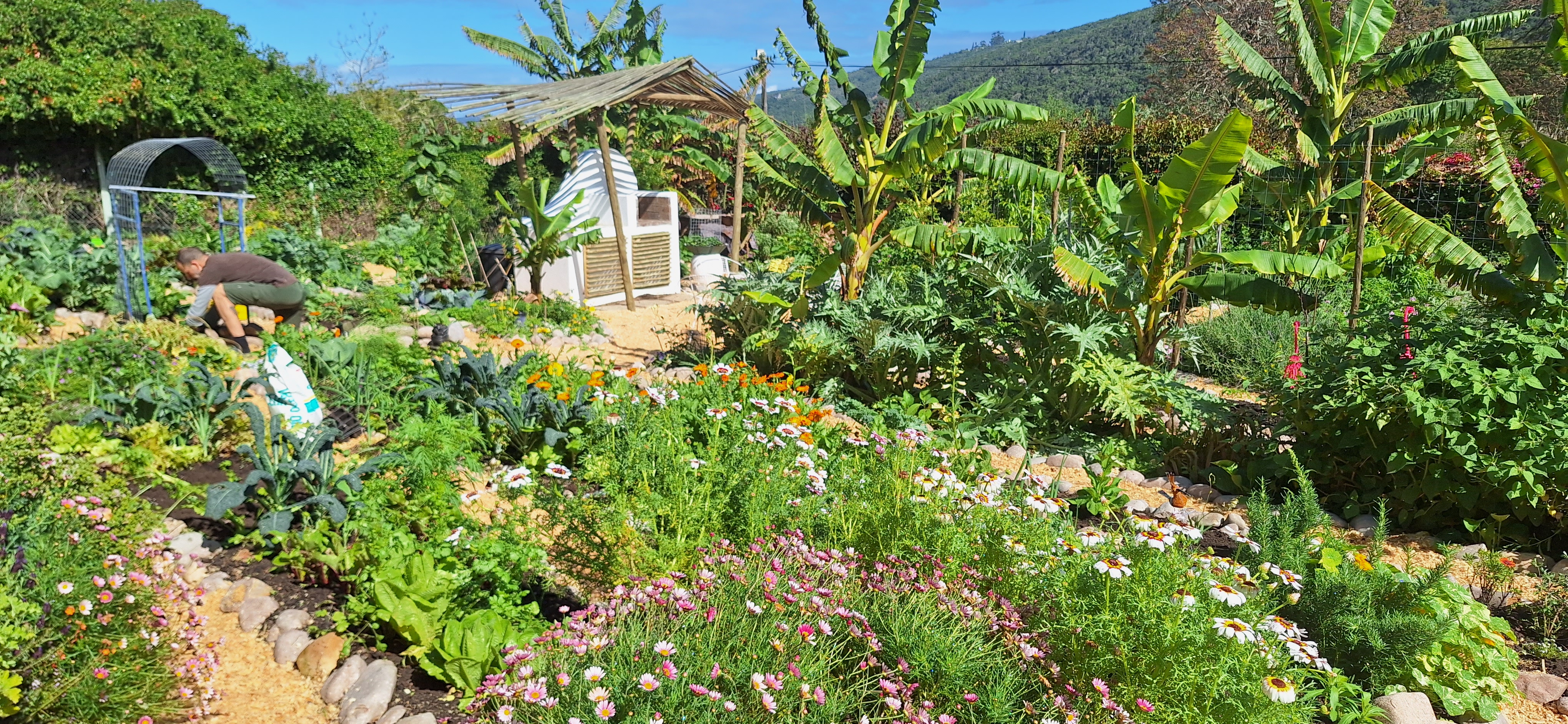 Gardening with Esme Morley - My Garden Route Life