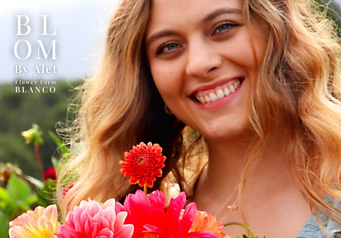 Blom by Alet - Flower Farm - George Pick your own flowers, wholesale and seeds