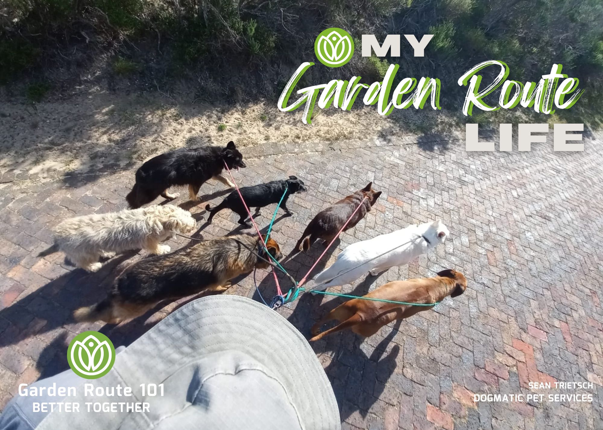 It's a Dog's Life with Sean Trietsch  from Dogmatic Pet Services