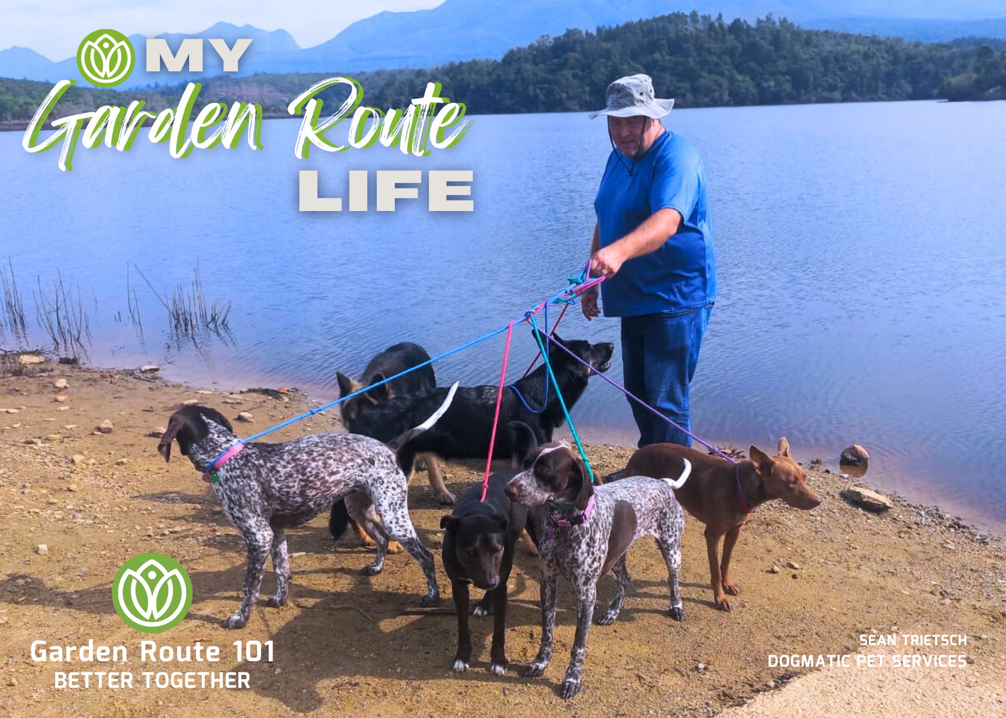 Let's go for a walk with Sean from Dogmatic Pet Services