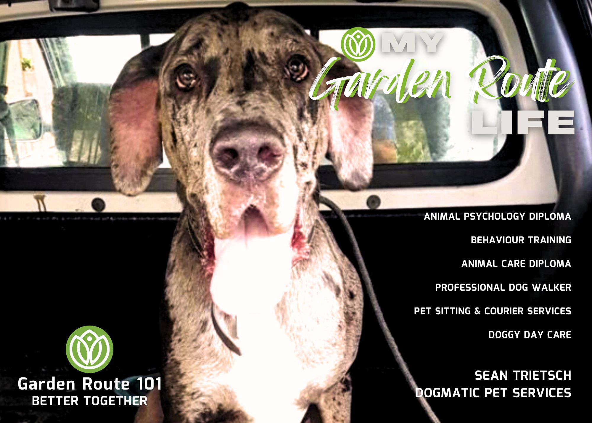It's a Dog's Life with Sean Trietsch  from Dogmatic Pet Services