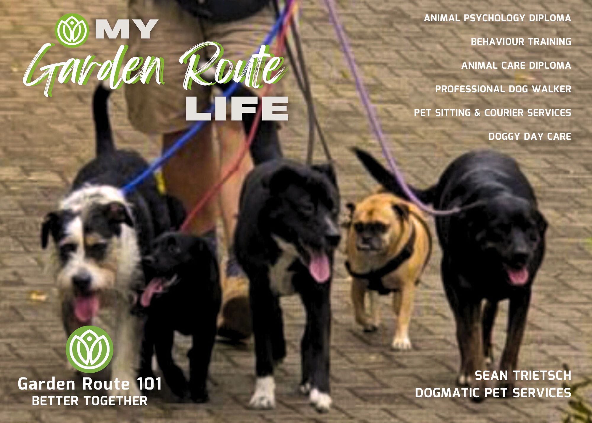 It's a Dog's Life with Sean Trietsch  from Dogmatic Pet Services