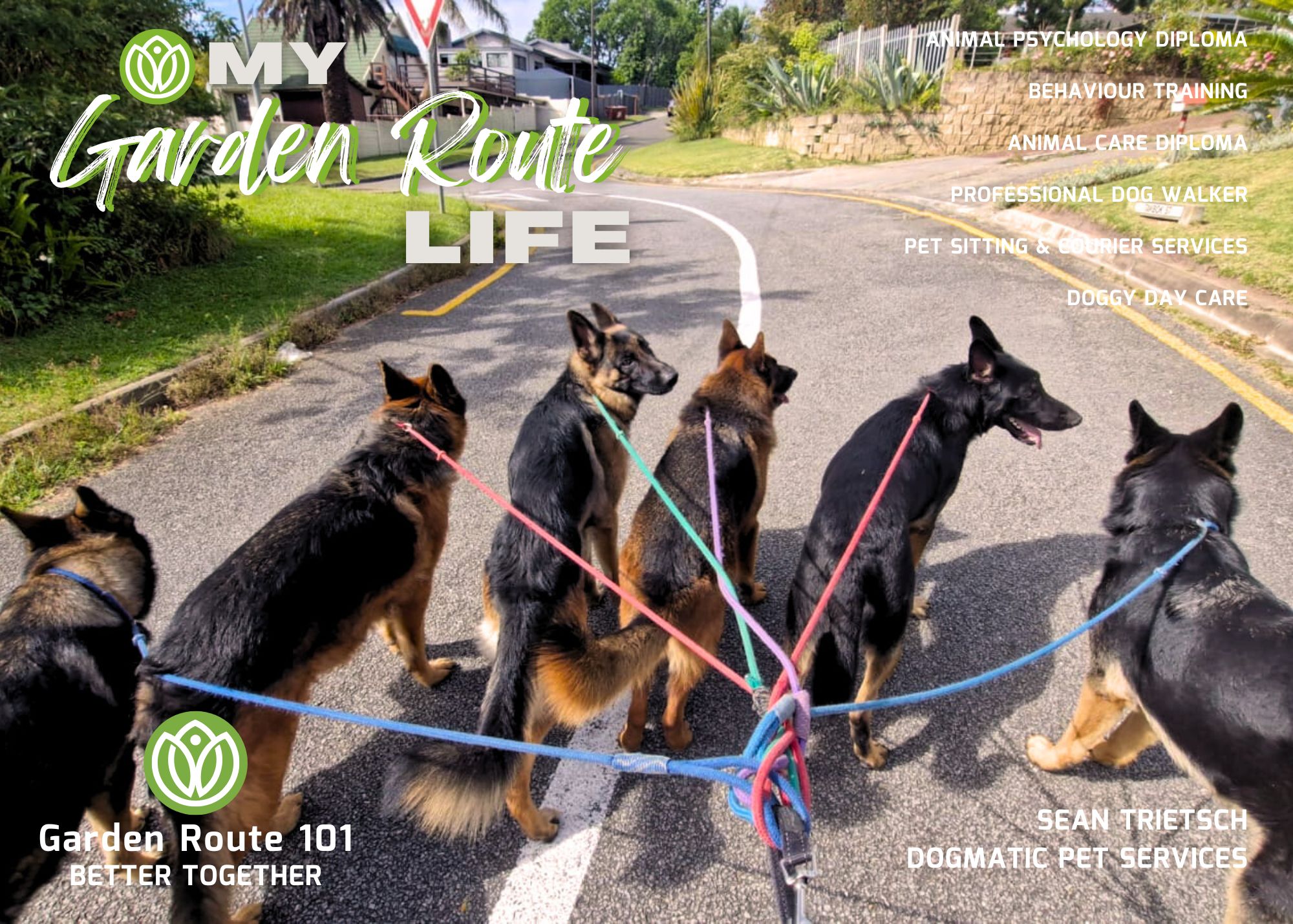 It's a Dog's Life with Sean Trietsch  from Dogmatic Pet Services