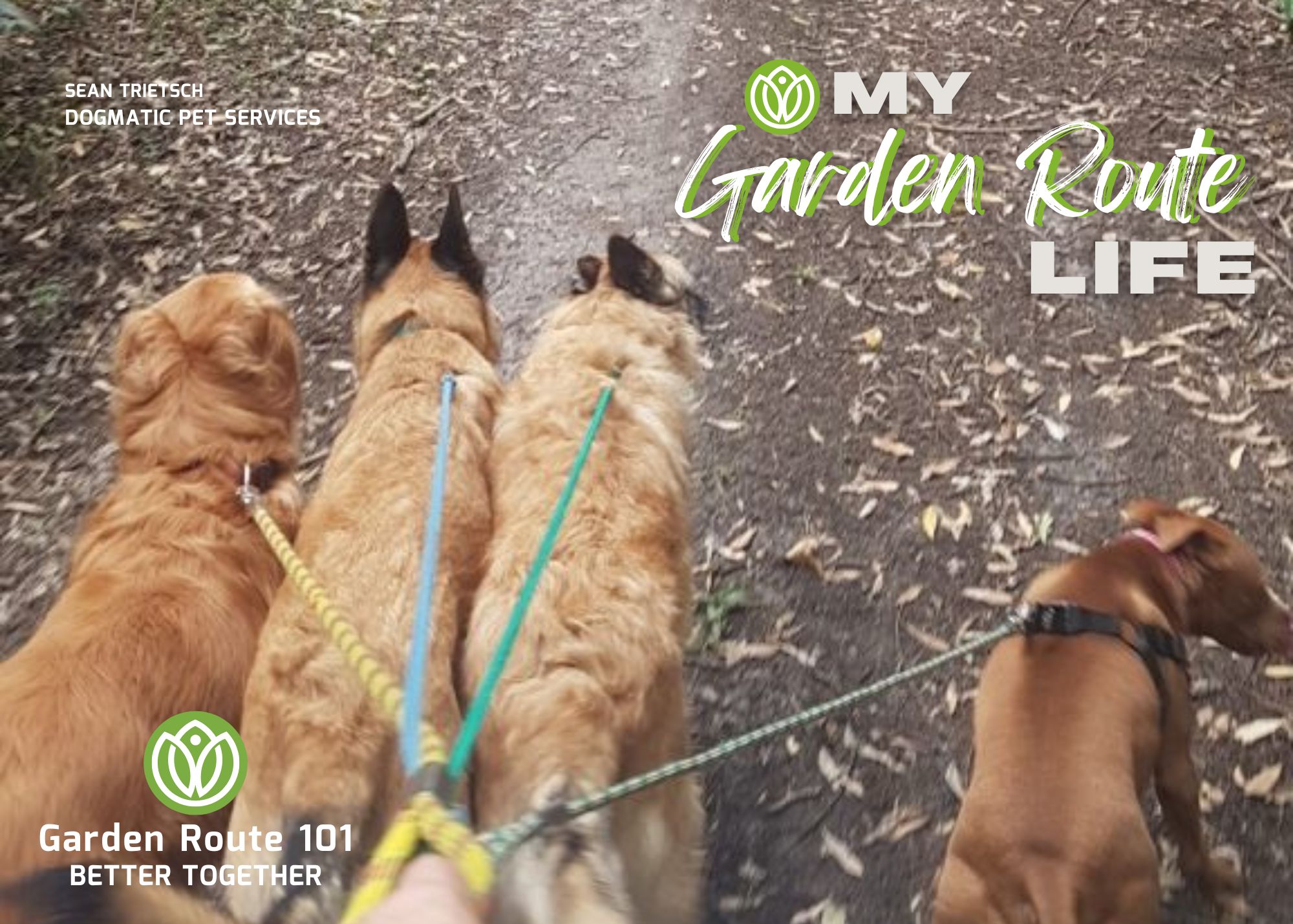 It's a Dog's Life with Sean Trietsch  from Dogmatic Pet Services