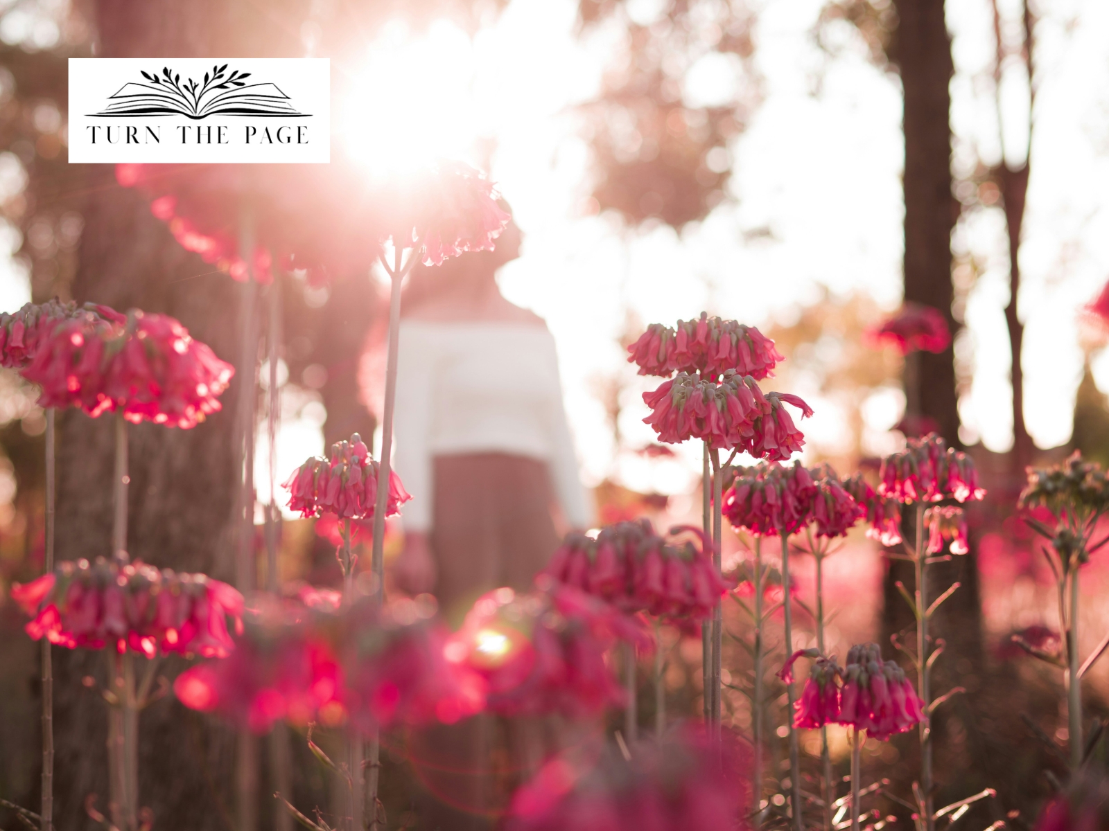 Turn the Page Art & Nature retreats offers workshops for women in the Garden Route