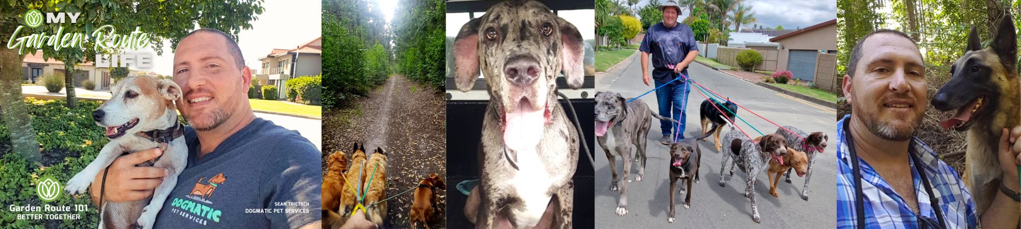 The GARDEN ROUTE SPCA Page is sponsored by Sean Trietsch, DOGMATIC PET SERVICES