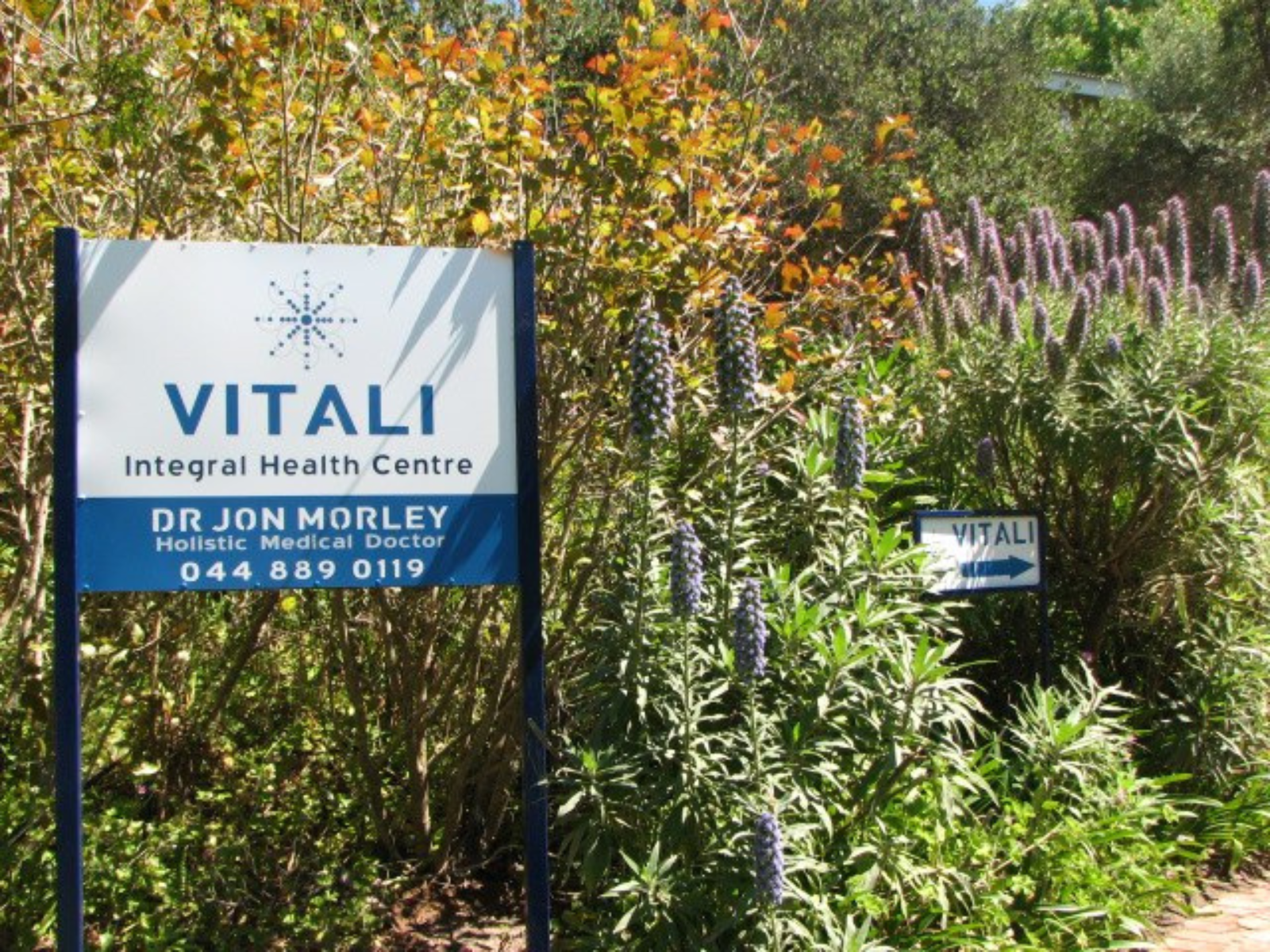 Dr Jon Morley Vitali Integral Health Centre Die Vleie Wilderness