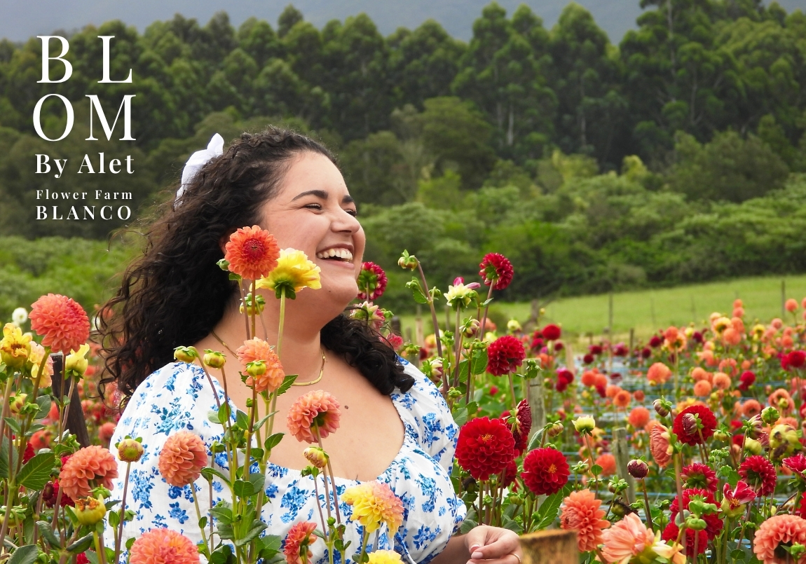 Blom by Alet - Flower Farm - George Pick your own flowers, wholesale and seeds
